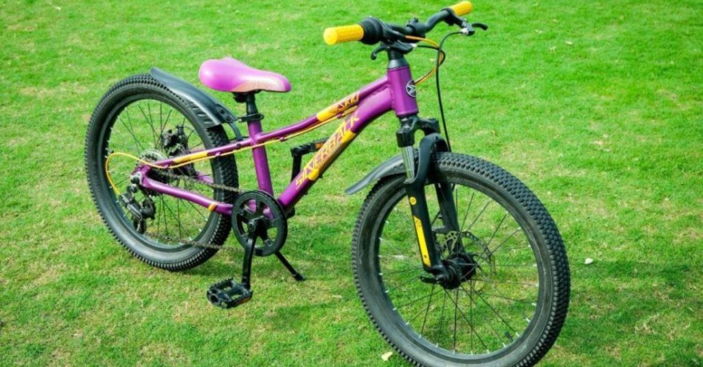 Kids mountain bike on grass in purple with mudguards
