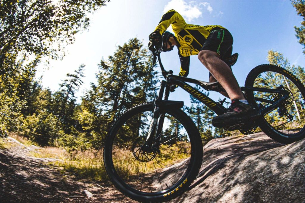 Man on a bike in the woods