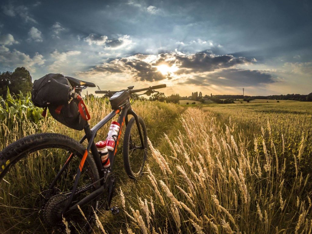 bike in a field