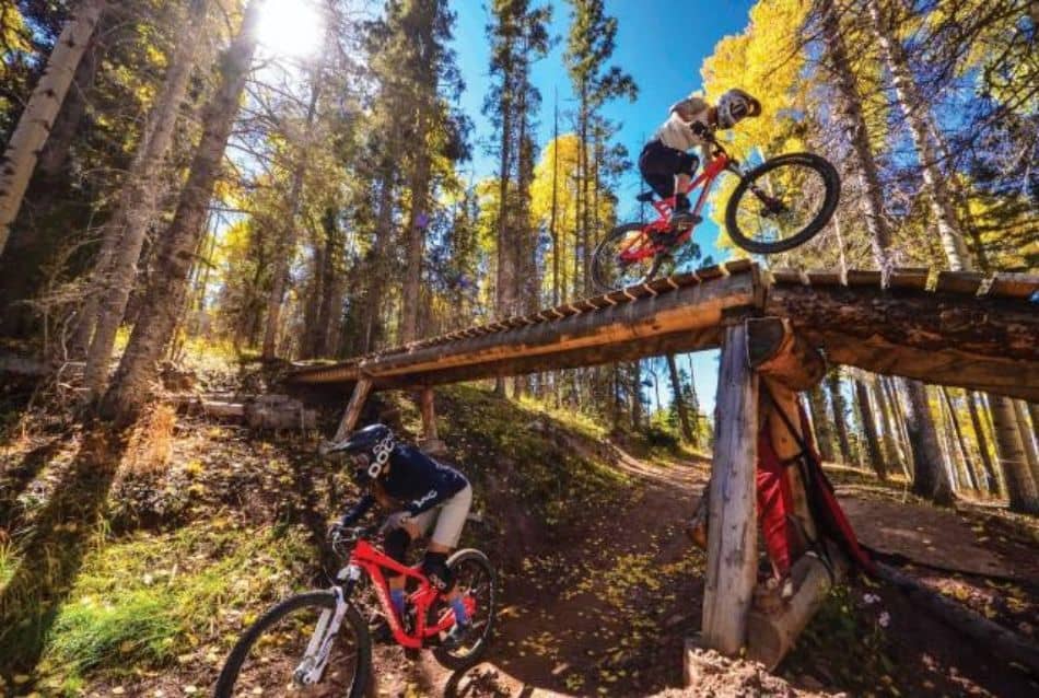 Two mountain bike riders in forested trail with wooden bridge