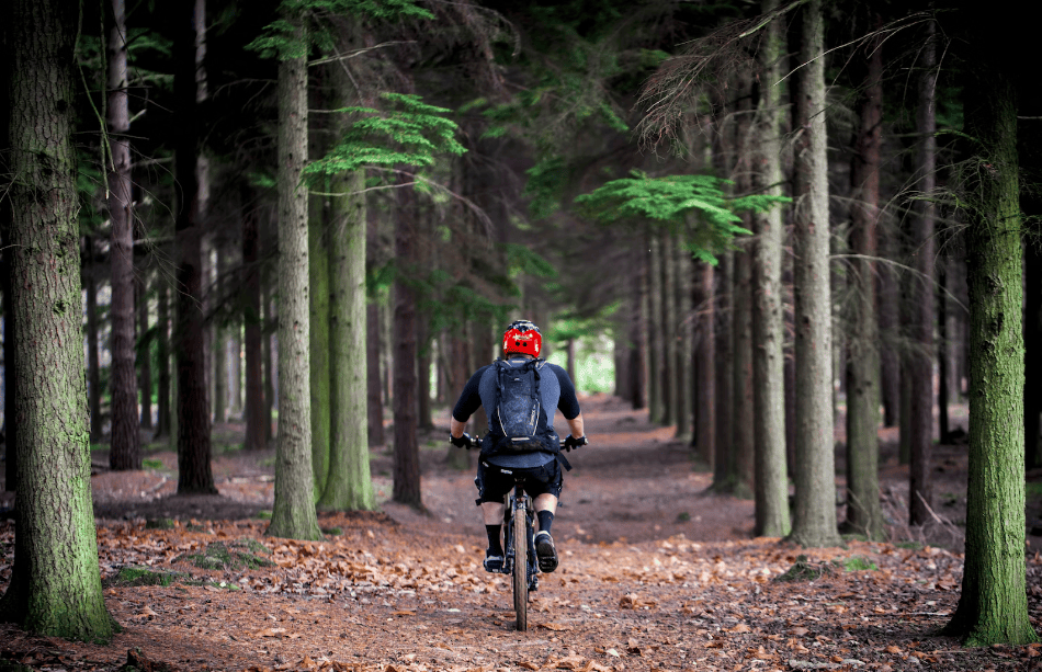 Person riding a bike1