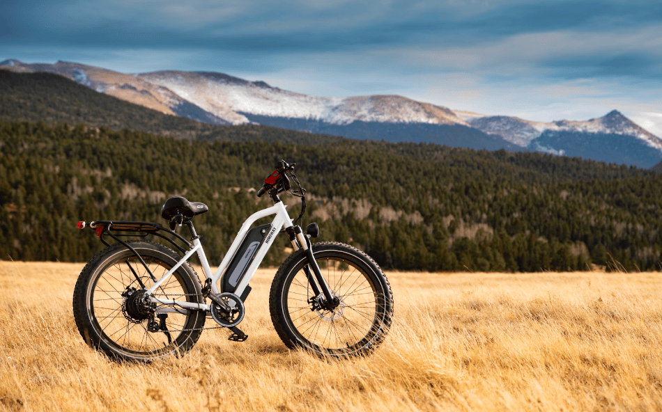 Electric Mountain Bike On Trail10
